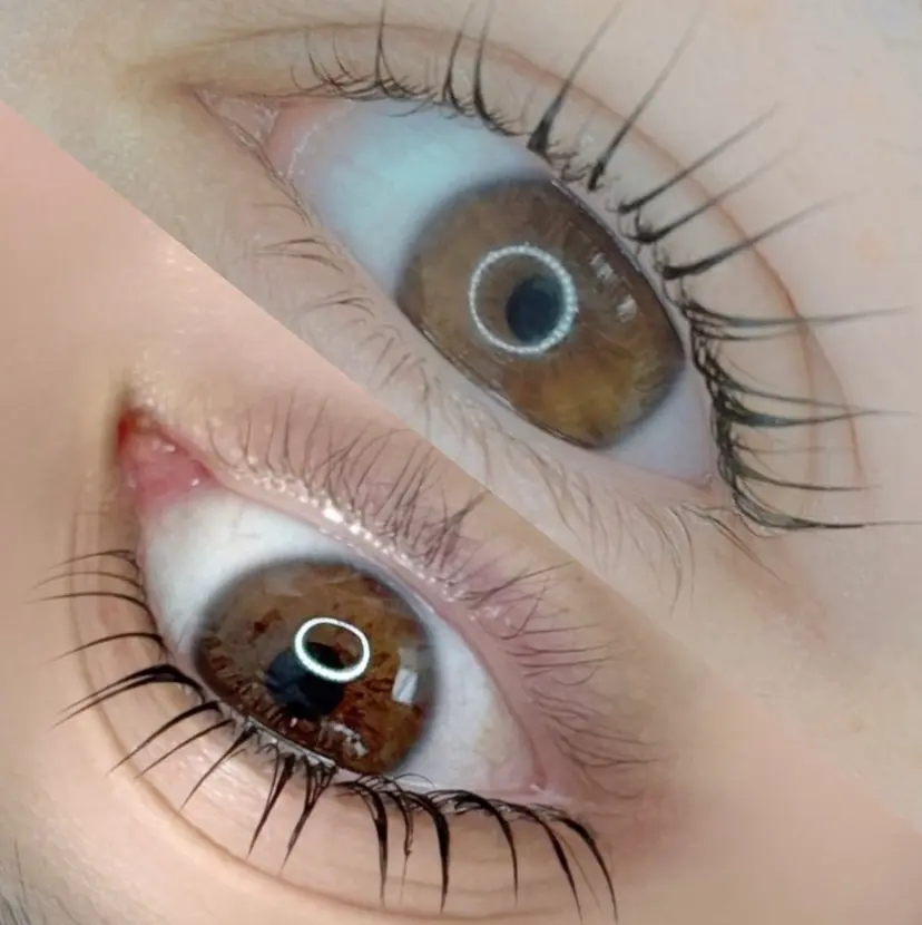 阿部 ライサの掲載