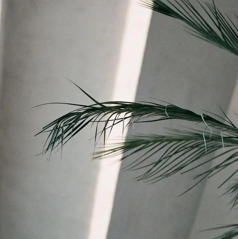 松下 茉紀👱🏻♀️の掲載