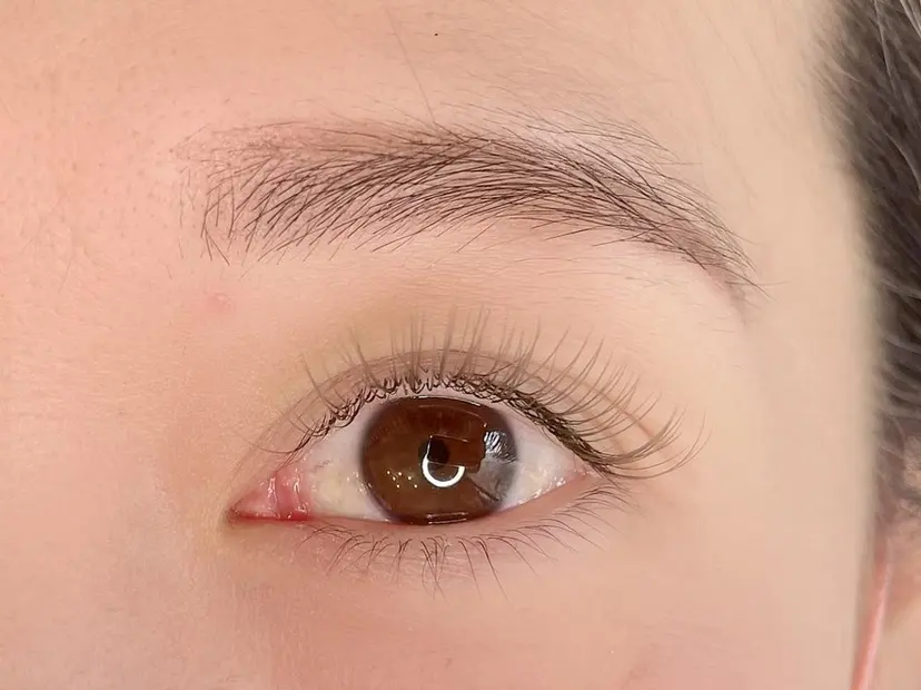 いかた ゆうの掲載