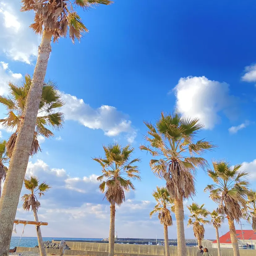 ツヤ感カラーレイヤー カット川野莉空の掲載
