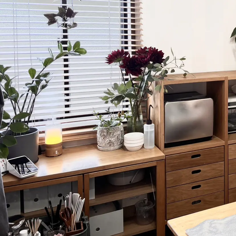 ラカシェットデ レイの掲載