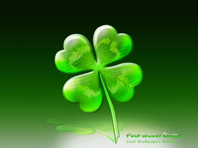 🍀美スタイリング プロ💕の掲載