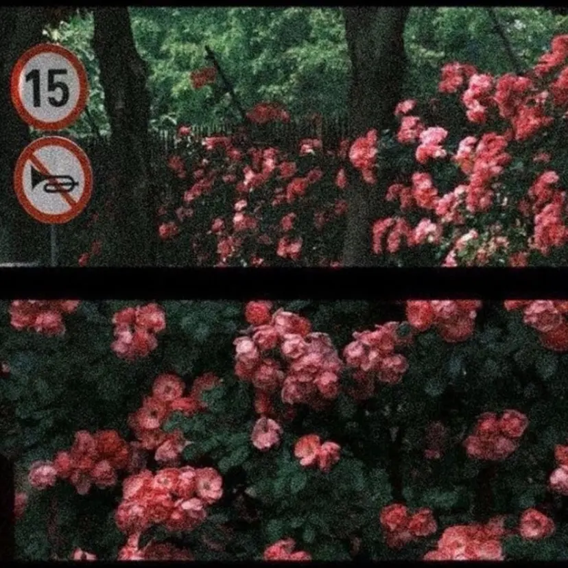 藤林 かづき🪽の掲載