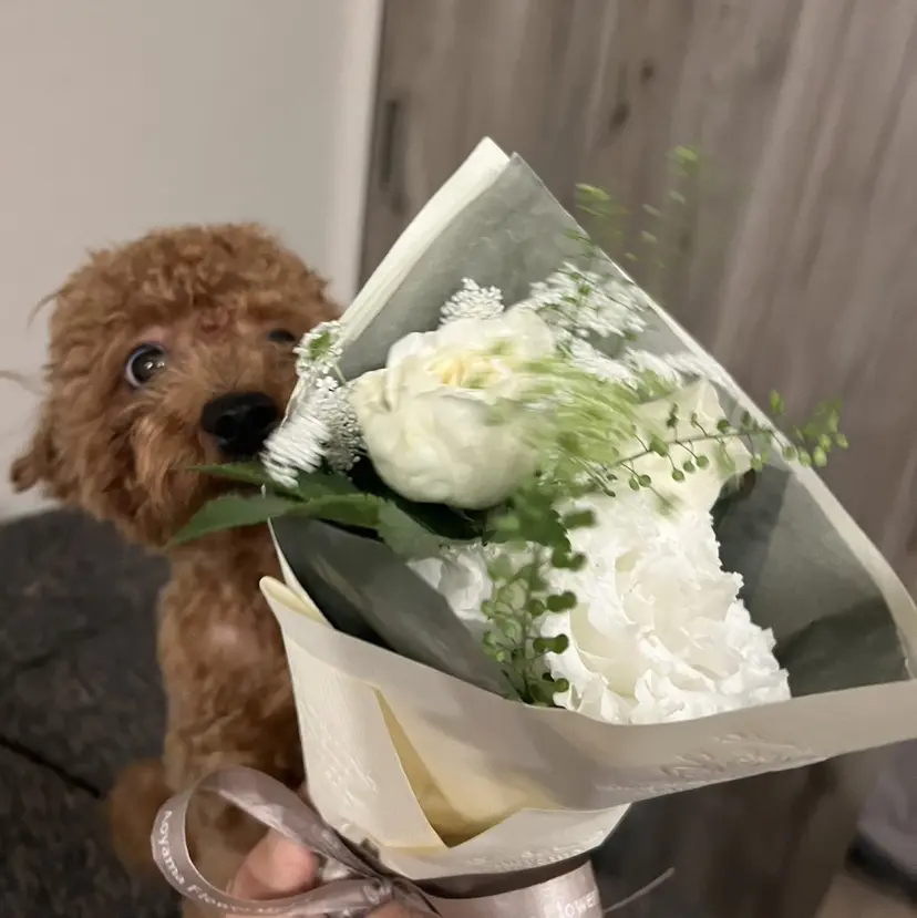 NAGISA🧁🎀 持ち込み⌇パラジェルの掲載