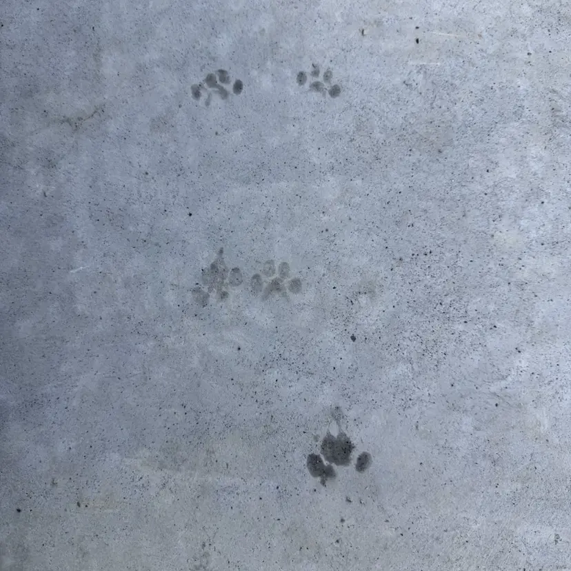 艶々カラー/名駅/ yuriaの掲載