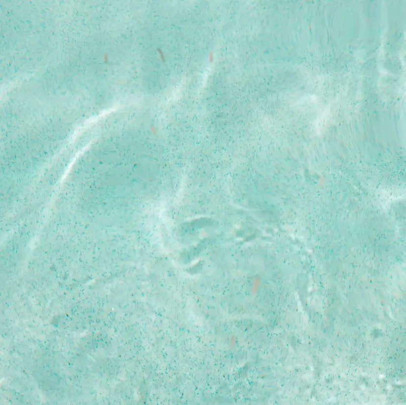 大東市 aneranailの掲載