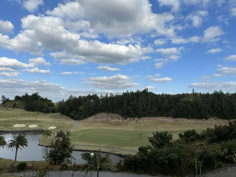 神田 桃菜の掲載