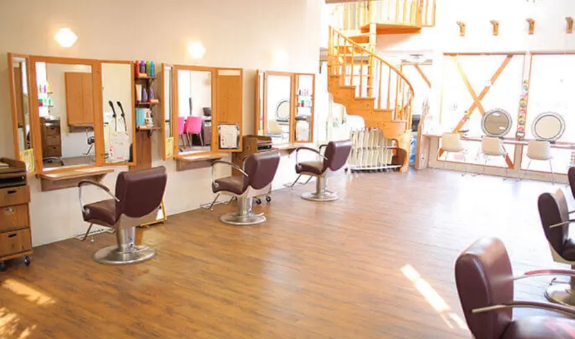 渡辺 詩乃の掲載