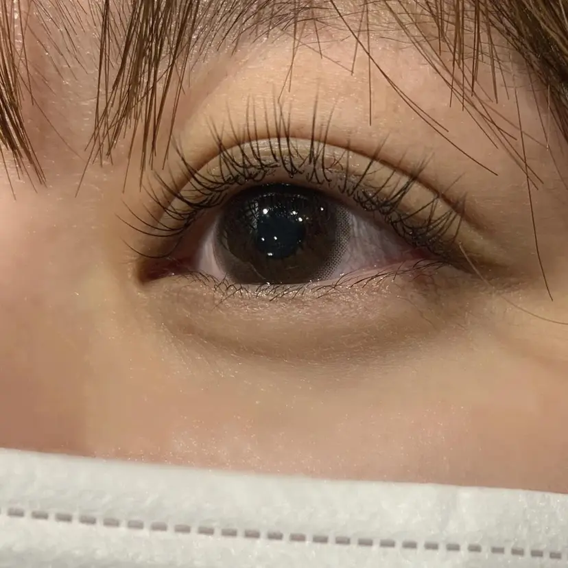 IDE .Rose Hipの掲載