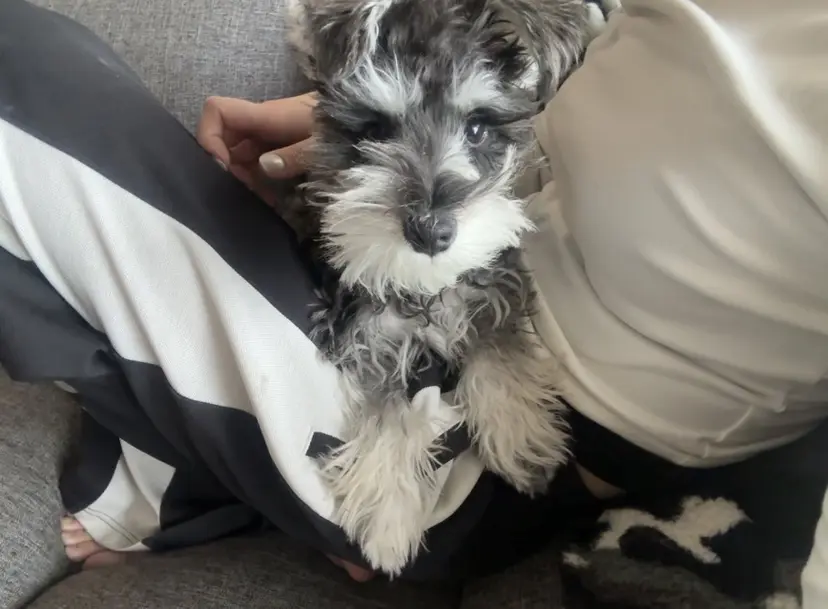 RIRI TORIYAMAの掲載