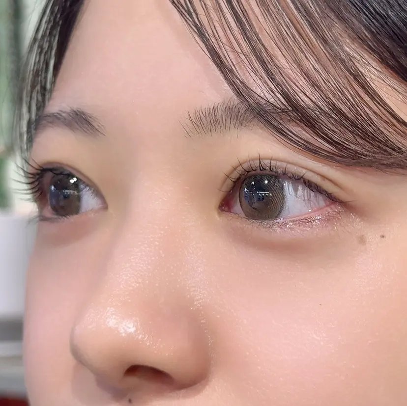 クロダ ワカハの掲載