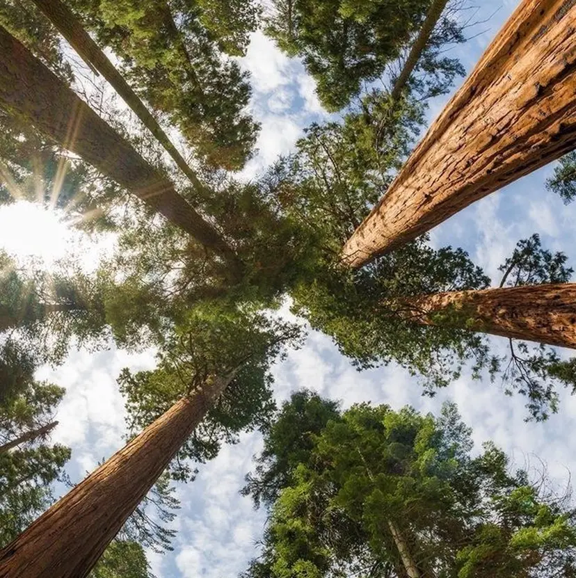 過去一の柔髪ヘア 🌿einshairの掲載