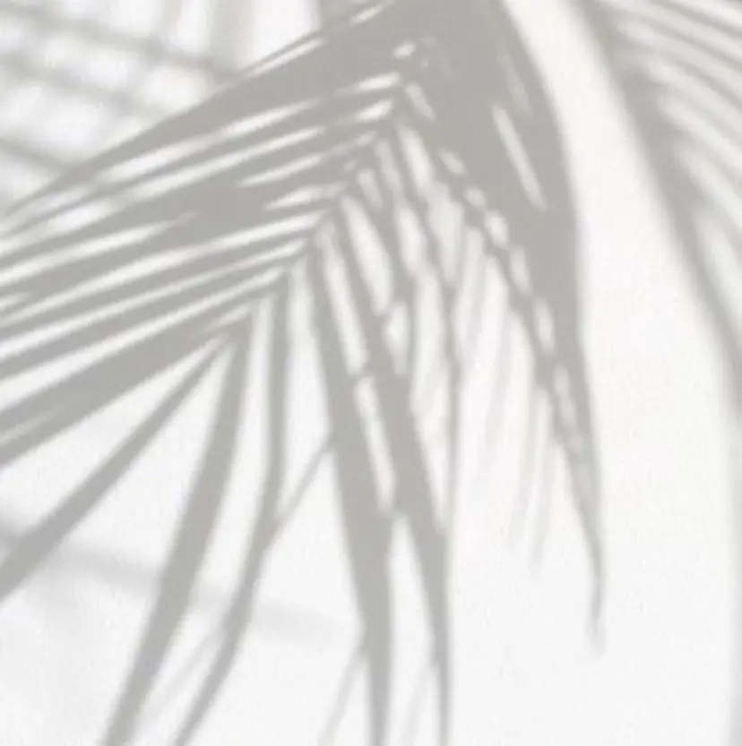 鶴町 桃香の掲載