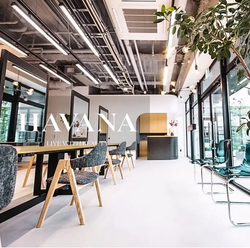 天神/韓国レイヤー/ 白水 雅人の掲載