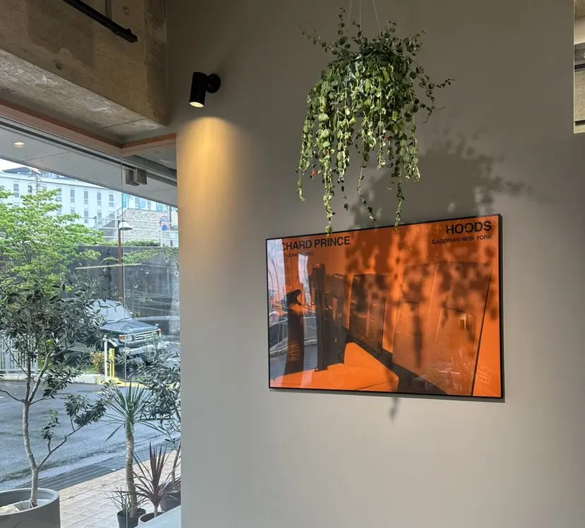 加納 孝也の掲載