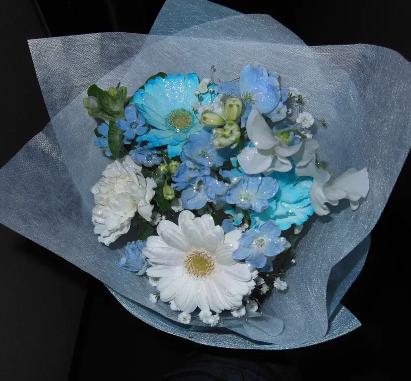 関口 あすりの掲載