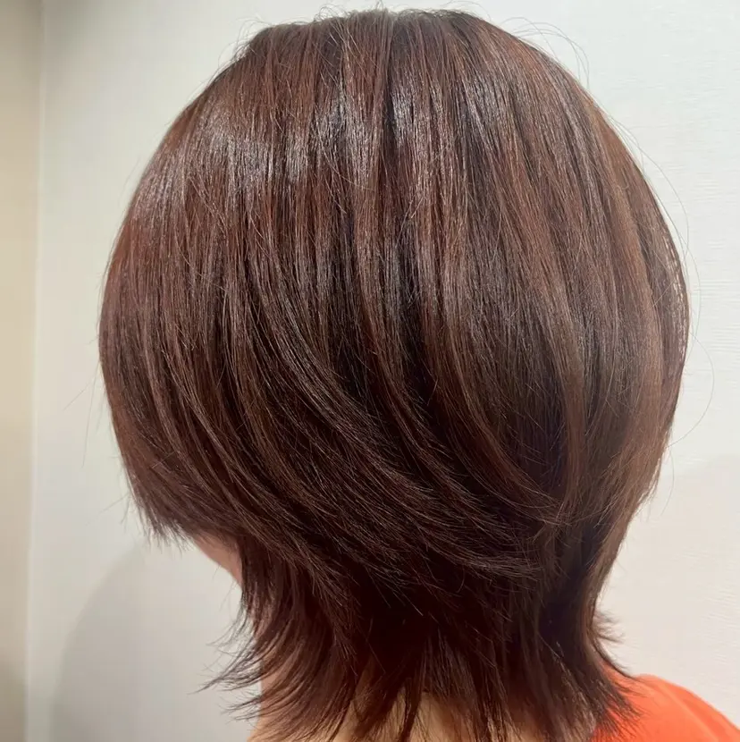 藤又 歩夢の掲載