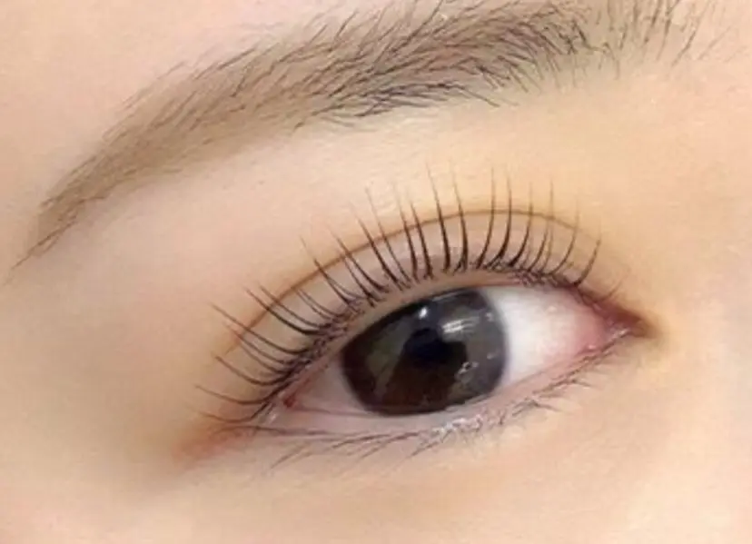 マリーテレジア 💟KAJIMOTOの掲載