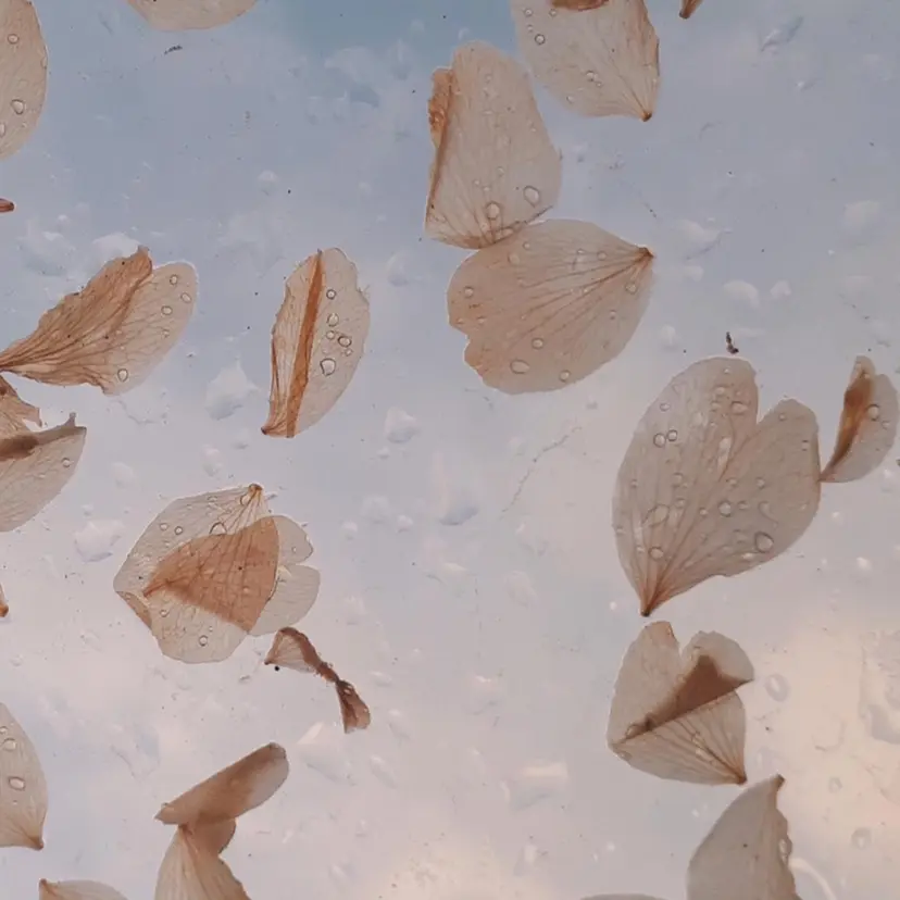 小山 美月の掲載