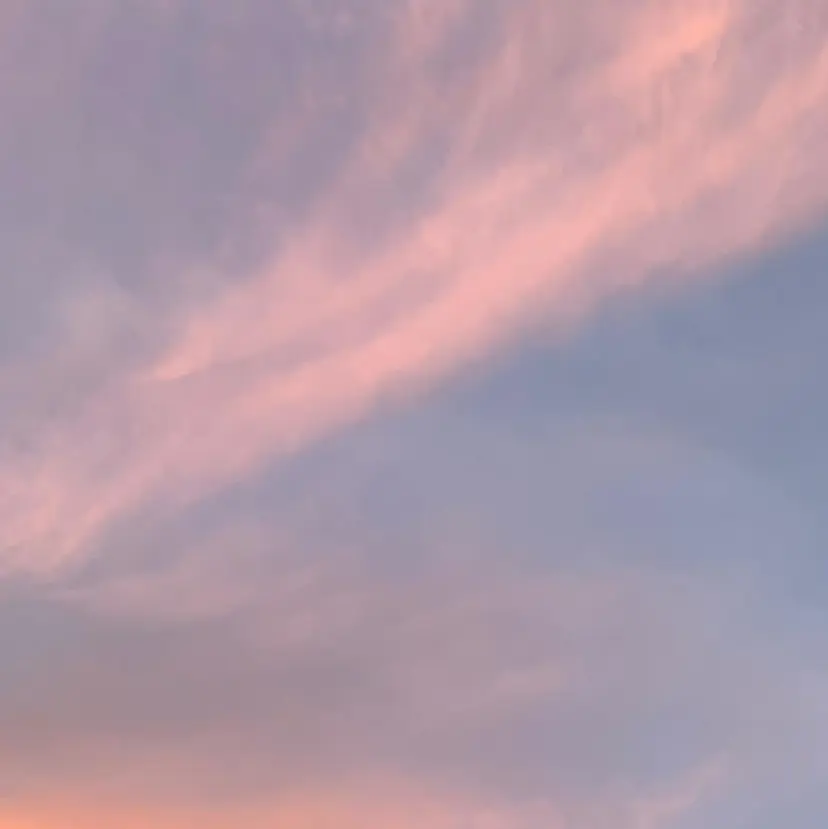 鈴木 里奈の掲載