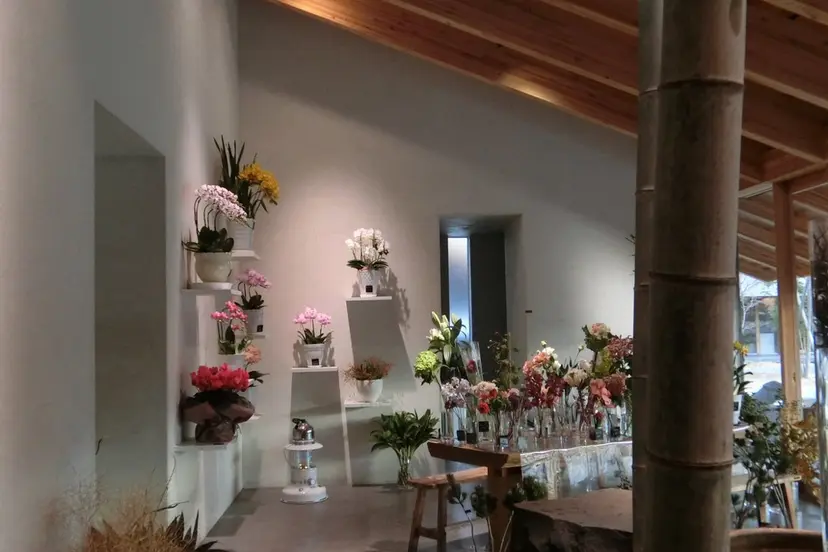 iroha/ レイヤーカットモデルの掲載