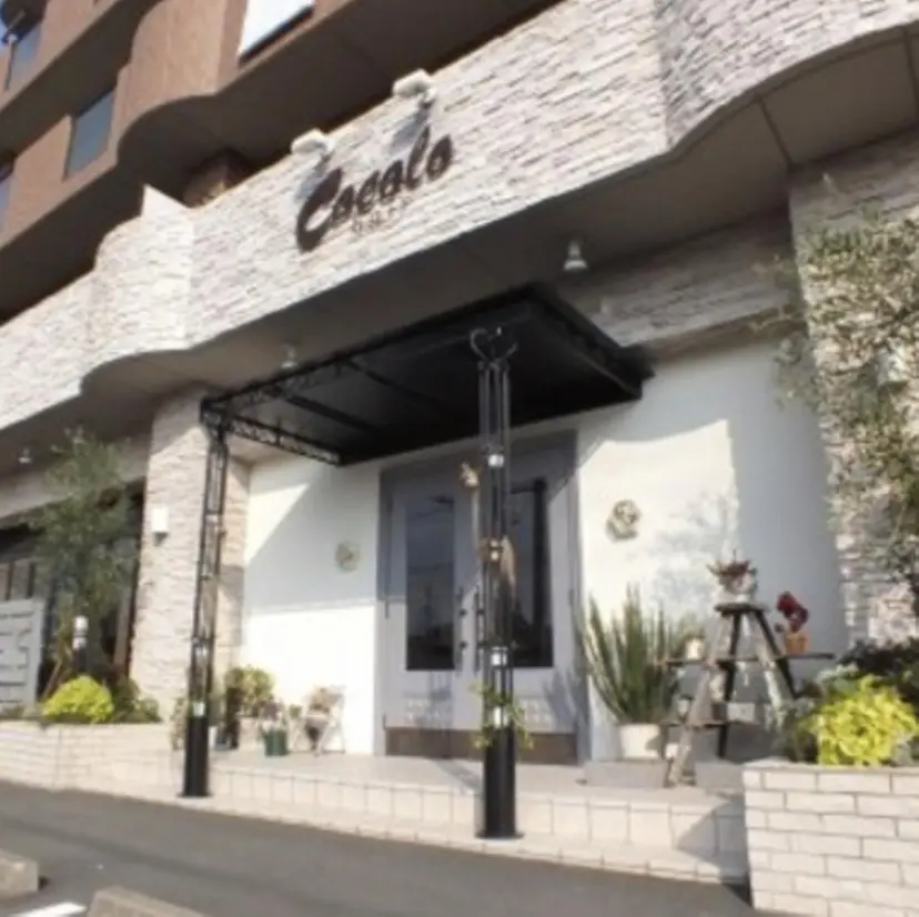 Cocolohair /松嶋歩の掲載