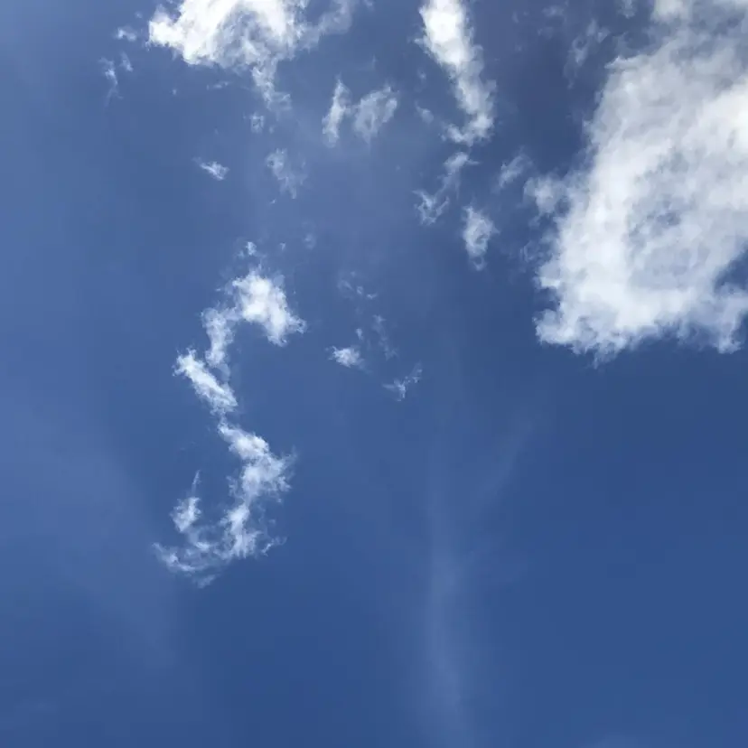 silk🕯 hikaruの掲載