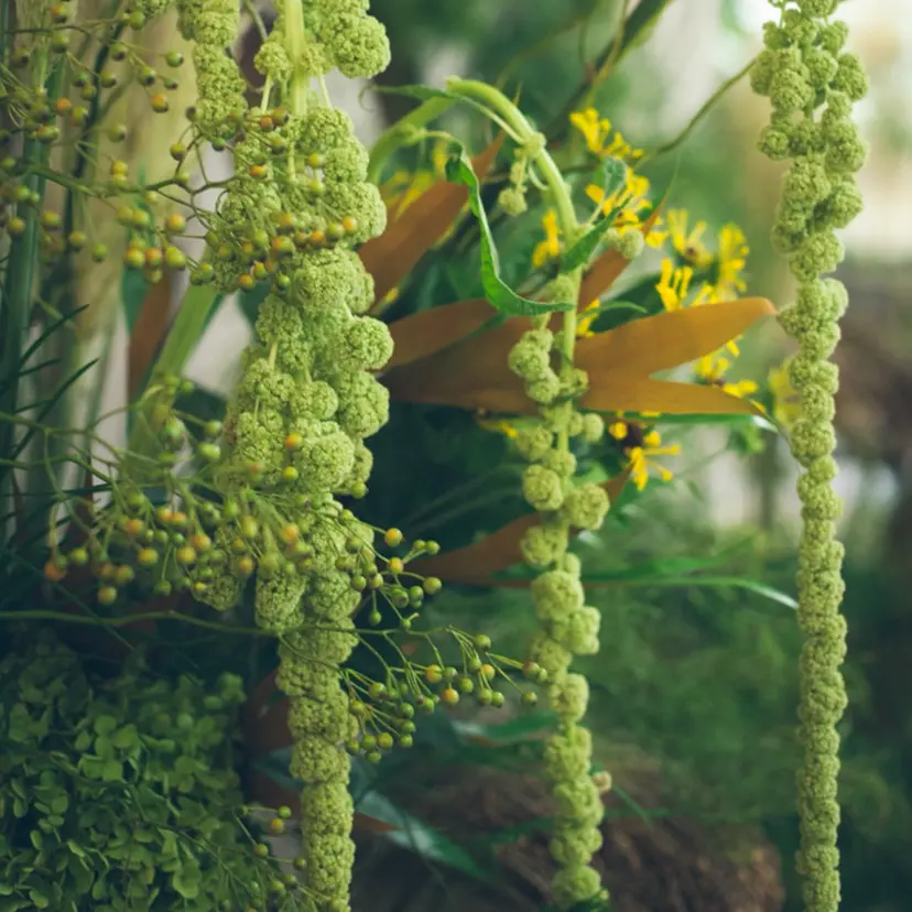 takk|隠れ家 マッサージ・エステの掲載