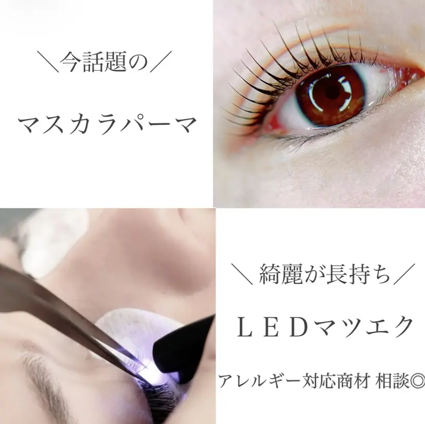 ジャスミン Jasmineの掲載