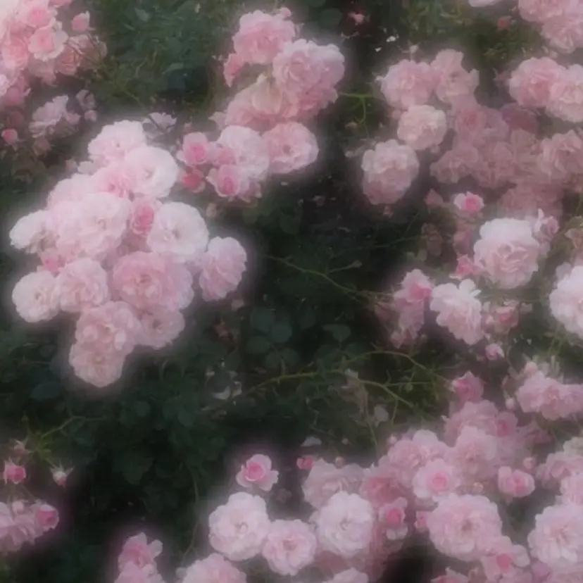 岡本葵子カットモデル ┊束感マツエクの掲載