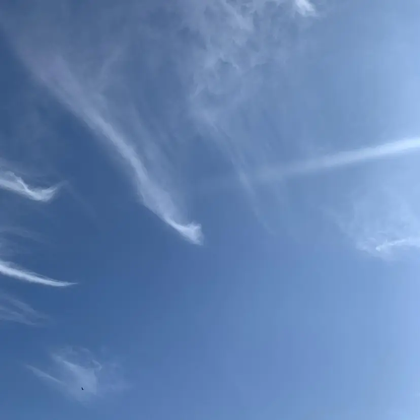 メンズカット /パーマ🍀田畑玖音の掲載