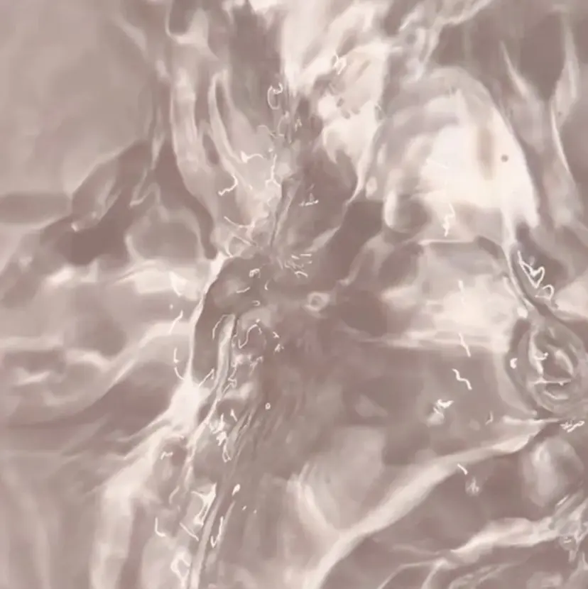 anny ／あにの掲載