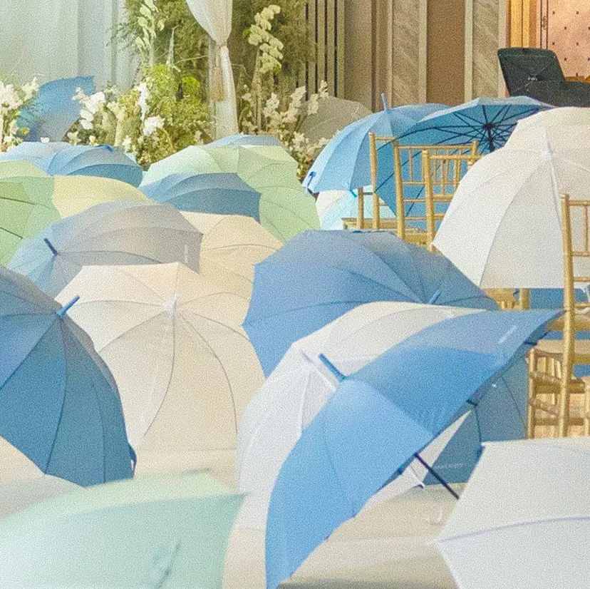 藤平 夢乃の掲載