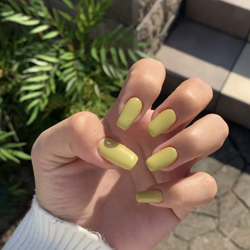 Jily ジェイリーの掲載