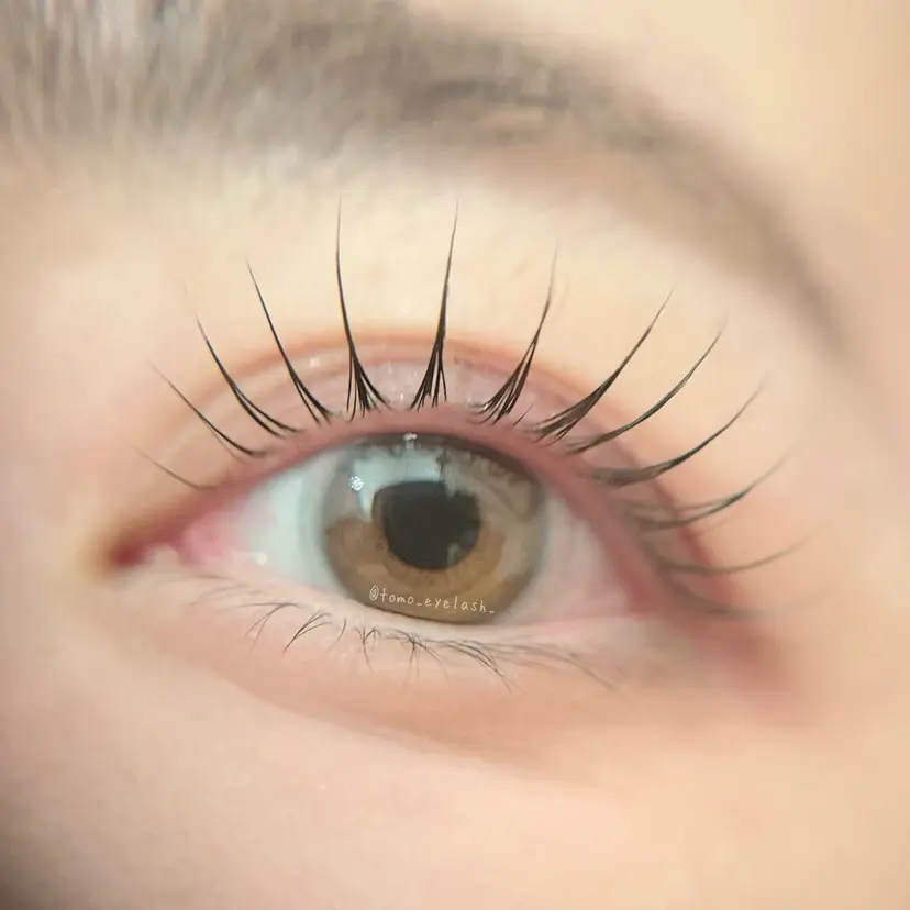 Tomo◇ Élanの掲載