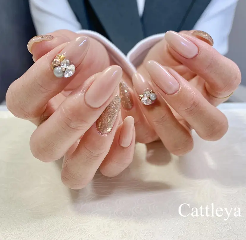 Cattleya カトレアの掲載