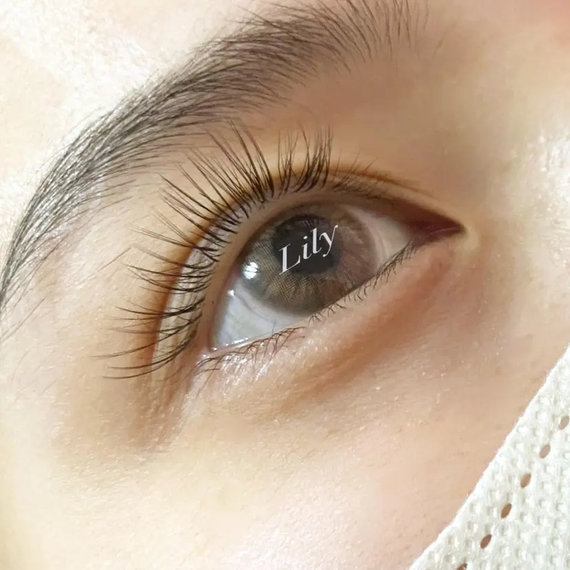 Lily 【yurie】の掲載