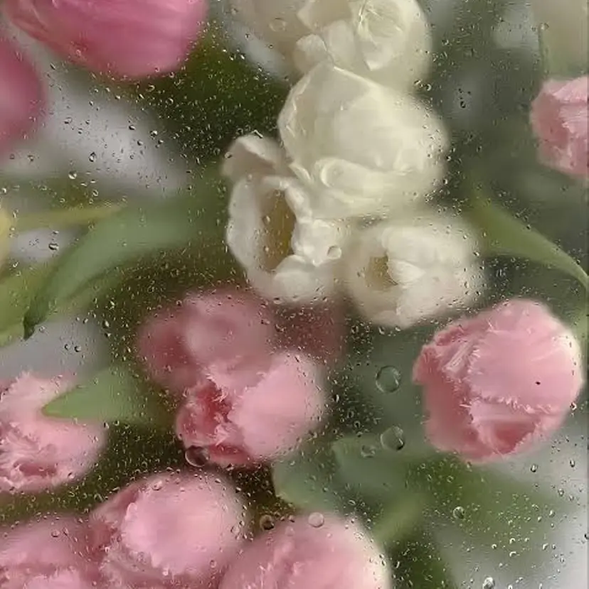 BIANCA ✴︎ yukiの掲載