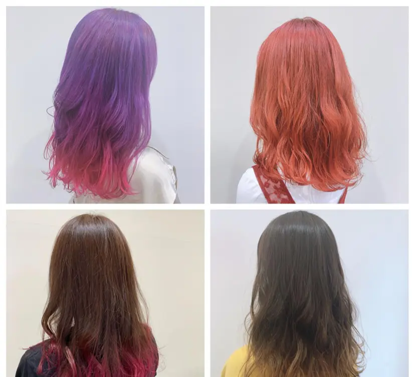 sato manamiの掲載