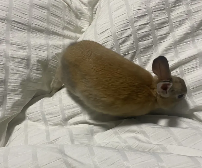 rin☆ 立川美容師☆の掲載