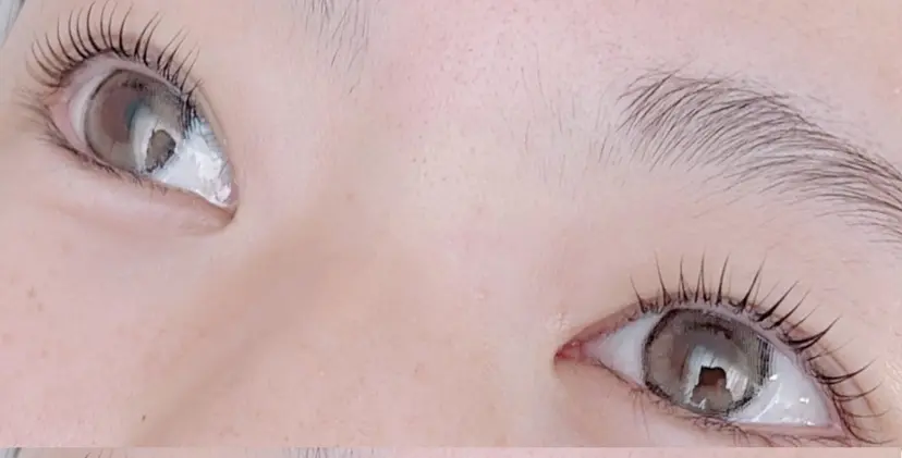 salon terraの掲載