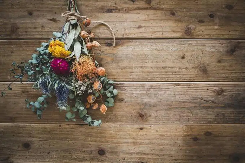 n a t s u k i 🪽ྀིの掲載