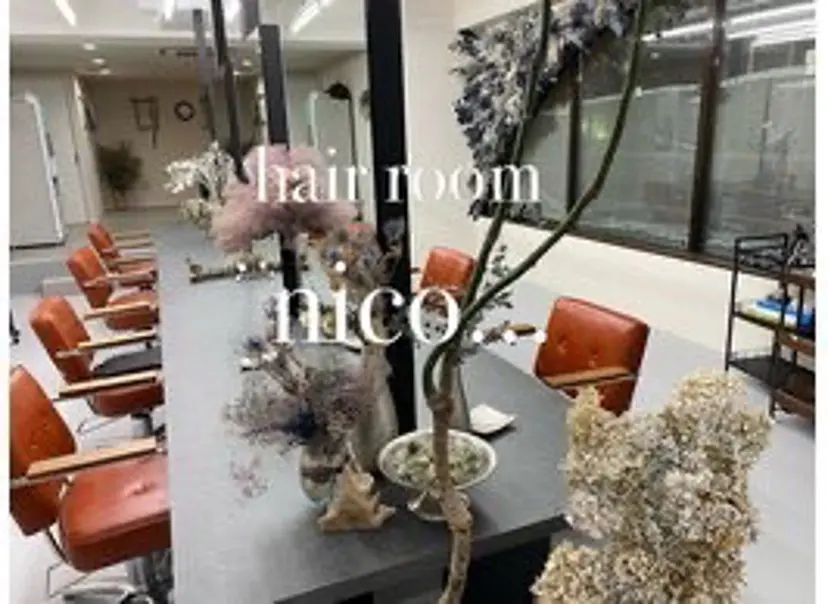 nico 麻生ハナワ ミユの掲載