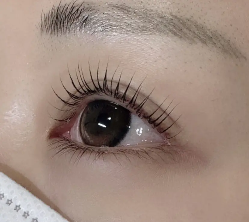 LC 岐阜駅前店の掲載