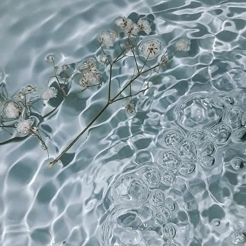 OLIVIA恵比寿 ♡sumikitaの掲載