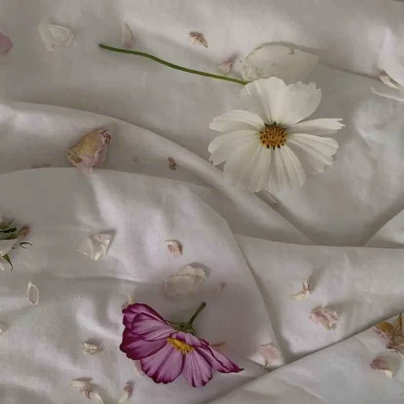 藤原 梨夢の掲載