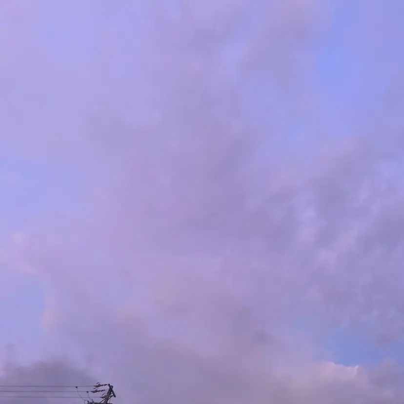 🤍 Rina🤍の掲載