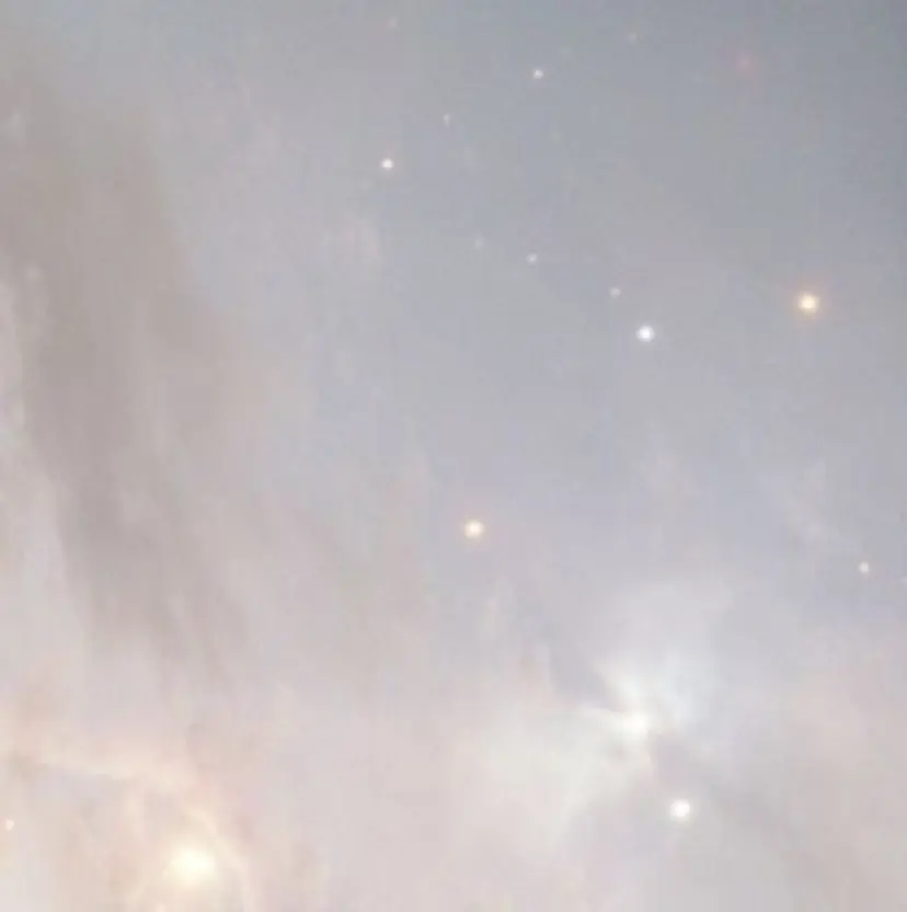 長澤 結妃の掲載