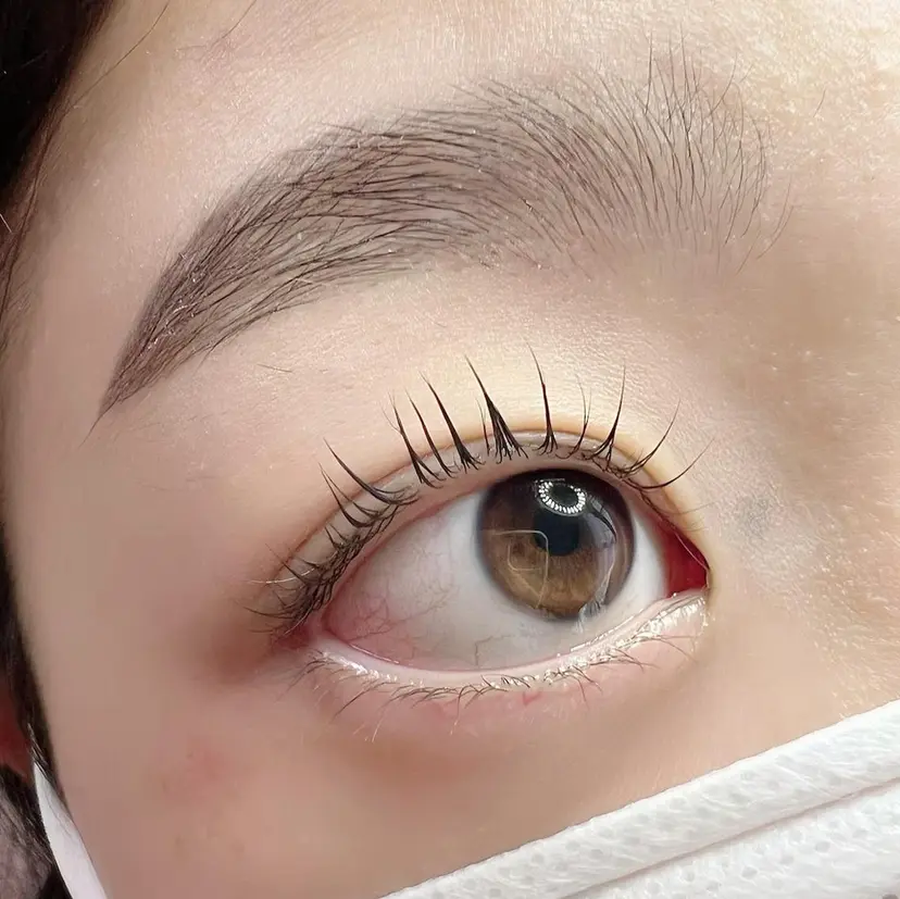 chou chou シュシュの掲載