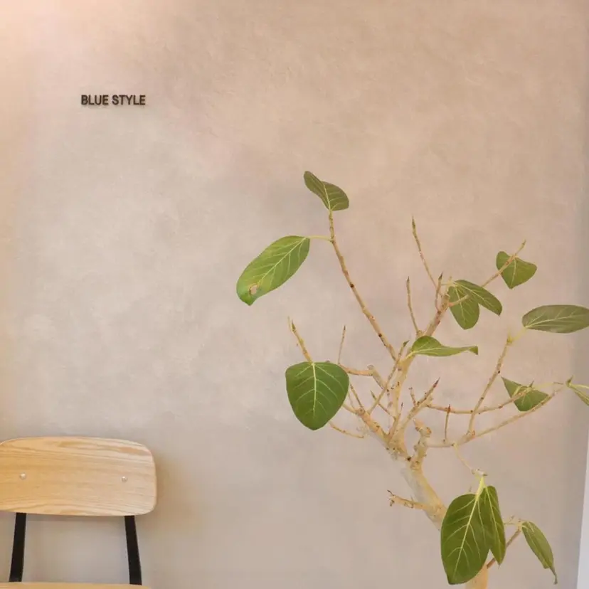 菊池 えりかの掲載